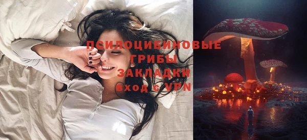 соль ск Каменск-Шахтинский