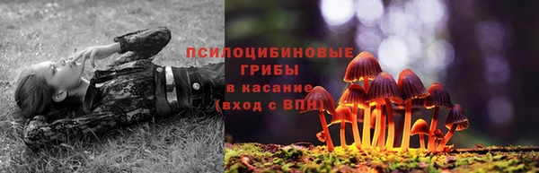 соль ск Каменск-Шахтинский