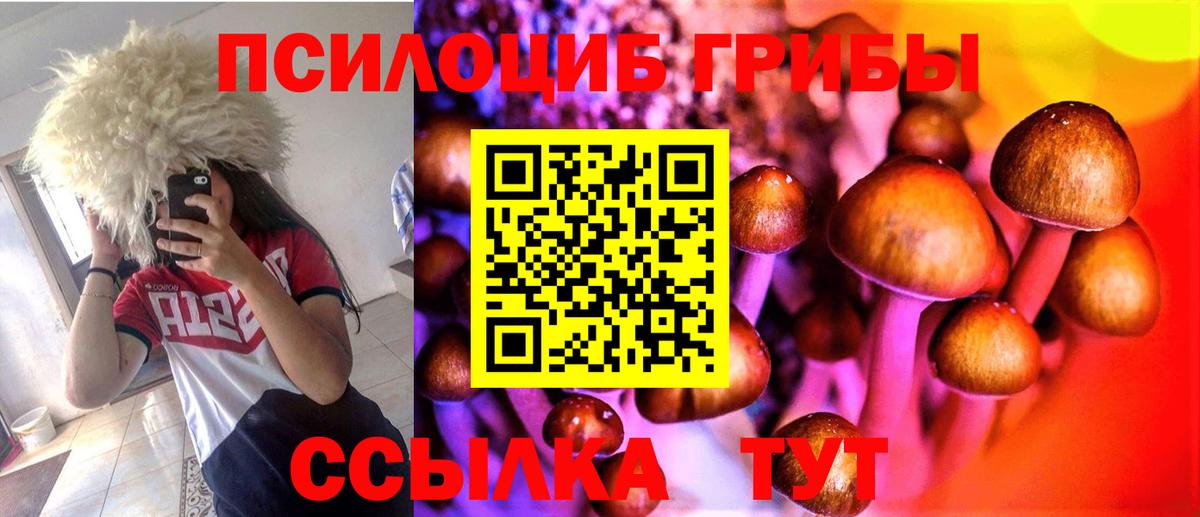 Галлюциногенные грибы Magic Shrooms Нальчик